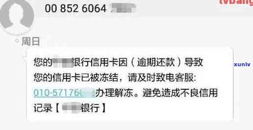 信用卡逾期未收到短信提醒，如何投诉并解决产生的利息问题？