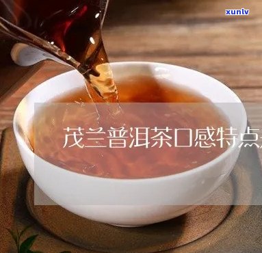 兰茂普洱茶品质如何？口感好喝吗？购买指南和评价分析