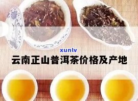 普正仙普洱茶多少钱