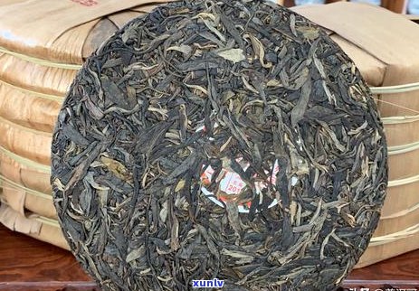 一年的普洱茶能喝吗？女生和新茶可以喝吗？