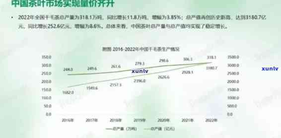 2023年七子普洱茶饼市场分析：、价格与品质趋势