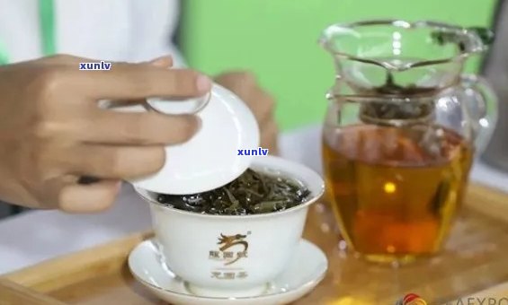 龙园号普洱茶：品质越的茶品体验，网友真实品鉴心得分享