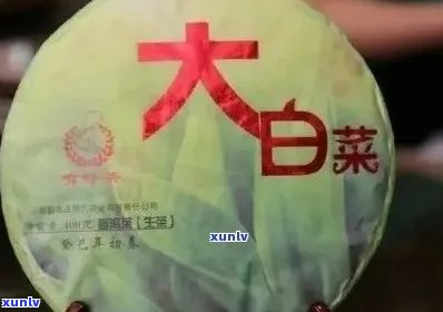 新 大白菜普洱茶一号与二号：独特口感与健价值的完美融合