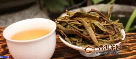 景迈山普洱茶：色的独特魅力、品鉴与鉴