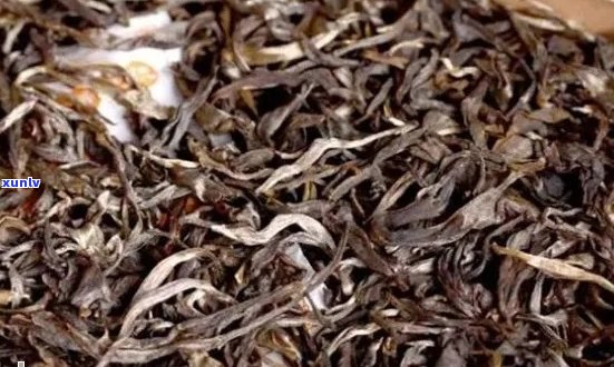 俊蓉号普洱茶价格：俊号普洱生茶375克、熟茶375克价格。