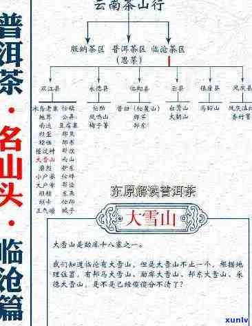 大雪山茶：品种、产地、特点与普洱茶的关系全面解析