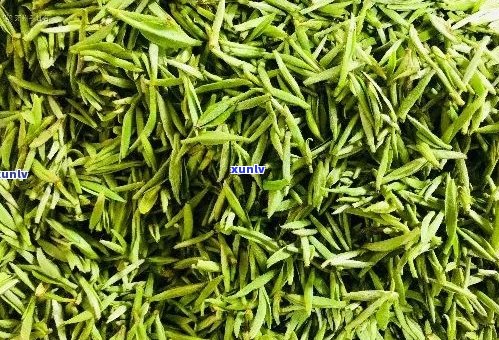 明前春是什么茶：茶的种类、营养价值与 *** 过程解析