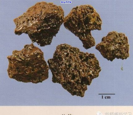 深入解析：儿茶和孩儿茶的微妙区别，以及它们在传统医药中的角色