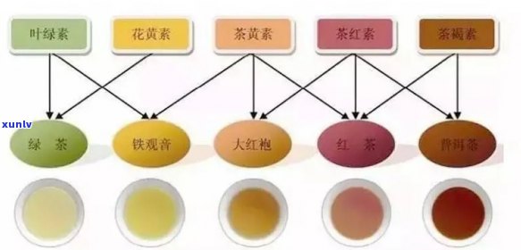 儿茶酚：茶叶中的神秘成分？