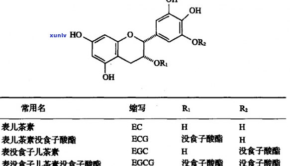 儿茶酚：茶叶中的神秘成分？