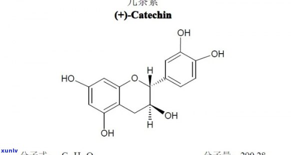 儿茶酚：茶叶中的神秘成分？