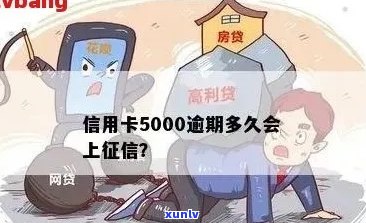 招行信用卡逾期5000块