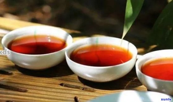 伏天能喝熟普洱茶吗女生：探讨伏天喝普洱茶的好处及影响