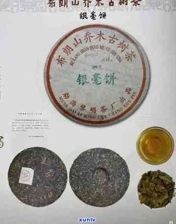 山有枢普洱茶能买吗