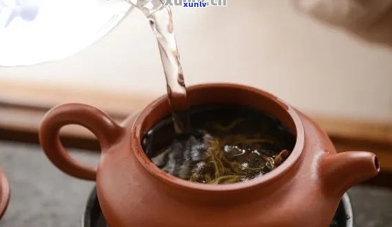 特小壶能泡普洱茶吗