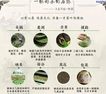 网上购买的普洱茶是否物有所值？如何辨别真伪？