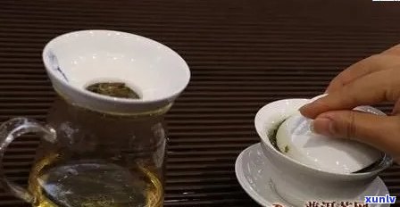 从选购到冲泡：全面指南如何品鉴与泡制一壶优质普洱茶的茶饼