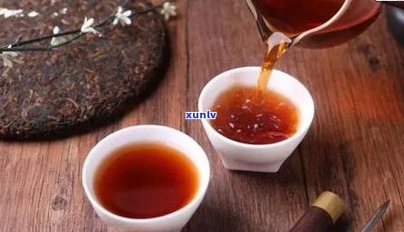 如何泡好一杯普洱茶的茶饼：掌握五个步骤，冲泡出理想口感