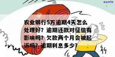 农行信用卡5万逾期还款，每月分期还有可能被起诉吗？