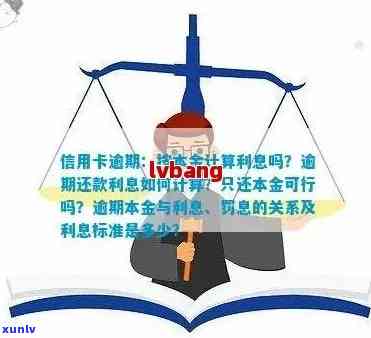 信用卡逾期本金怎么查询？以及如何计算逾期利息和罚款等相关问题解答