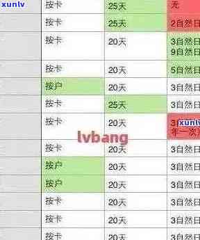 信用卡逾期查询全攻略：如何追踪欠款状态与解决方案