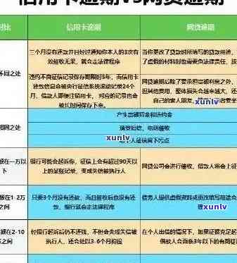 掌握信用卡逾期记录查询技巧，避免信用受损