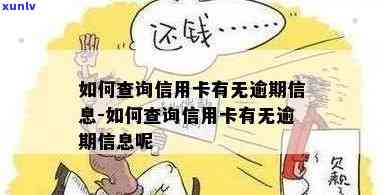 如何查看信用卡有无逾期