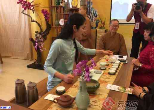 英佩无量山普洱茶：品茗会，领略千古茶韵，邂逅自然之美