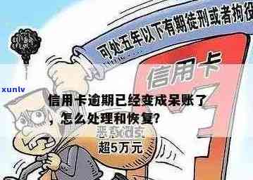 信用卡长期逾期形成呆账怎么办？如何处理和解决这个问题？