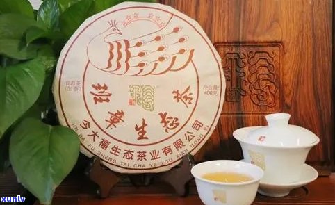 茶文化巨擘：探索普洱茶之陈年普洱的传奇人生与创新之路