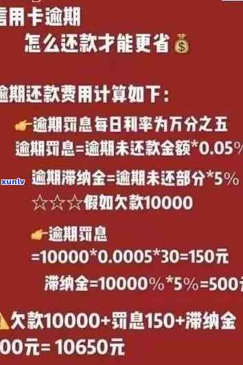 信用卡逾期回款计算 *** 及收益分析，全面解答疑虑