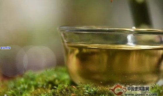 普洱茶怕灯光照射吗？阳光照射会变质嘛？