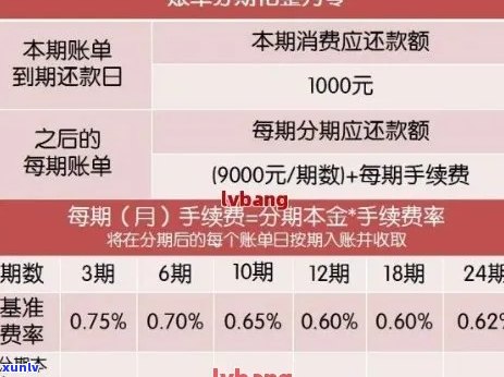 信用卡逾期还款几点扣款的