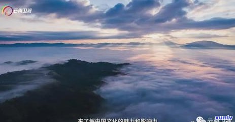 景迈山普洱茶的排名：，特点口感，云南品质，357克价格，2020年市场价