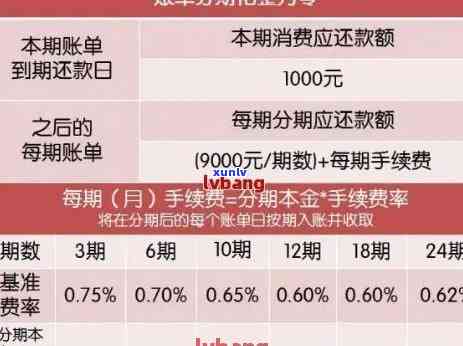 信用卡逾期还款几点扣款