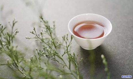 一笑斋茗茶老板：品质优良的茶叶选择与泡法指南，让您尽情享受茶香的魅力