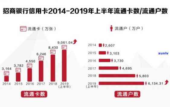 2019年信用卡逾期半年以上数据概况：用户状况、原因及解决方案全面解析