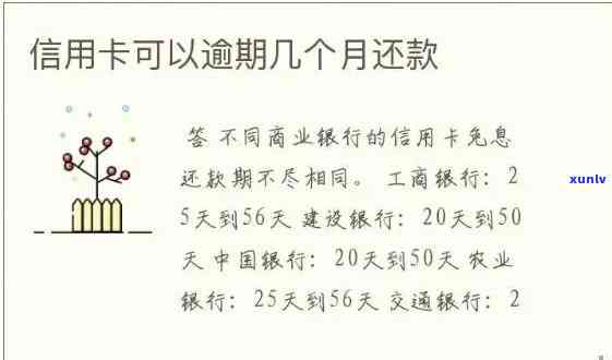 信用卡逾期还款宽限期及最长时间：了解逾期还款的完整信息