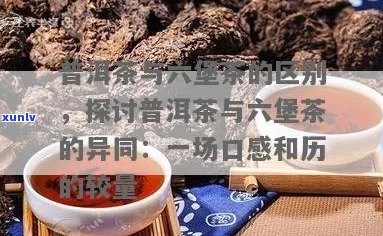 六堡茶与普洱茶：详尽对比解析，助您轻松辨识与选择