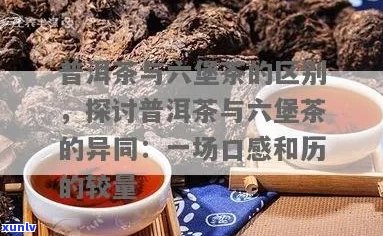 六堡茶与普洱熟茶：口感相似性、区别以及两者之间的比较