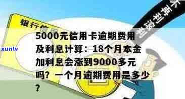 信用卡额度5000元逾期还款后果：如何避免信用损失？