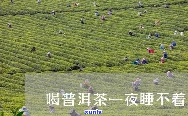 勐海茶区古树茶价格分析：品质、年份与市场走势