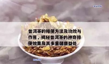 肠镜后恢复期：普洱茶饮食建议与注意事项