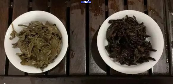 普洱茶班章：探究其所属的茶叶类别——生茶还是熟茶？