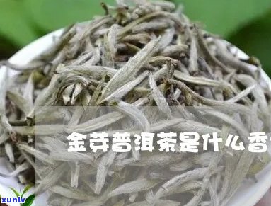 新探寻蜜香金芽的茶类归属：是普洱茶还是绿茶？