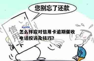  *** 信用卡逾期是诈骗吗？如何处理和举报？请提供相关建议。