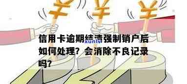 信用卡逾期结清后销户有影响吗？如何处理？还清后是否存在危害？