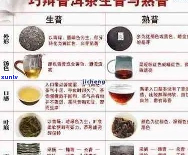 在一天内持续享用普洱茶的好处与挑战