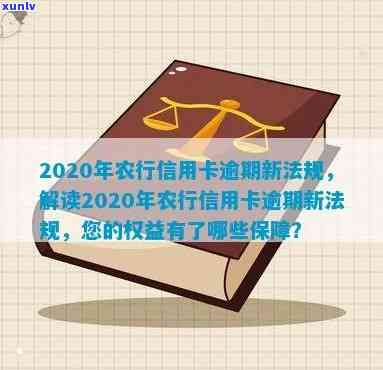 2020年农行信用卡逾期新法规详解：如何应对逾期还款、罚息及信用修复等问题