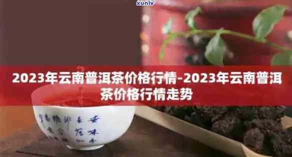 新2023年中老期普洱茶价格指数：品质、年份与产地分析